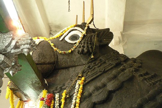 Tour image 7
