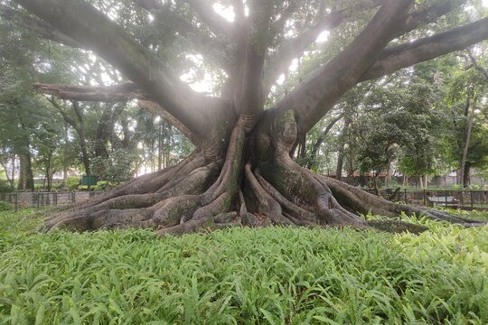 Tour image 11